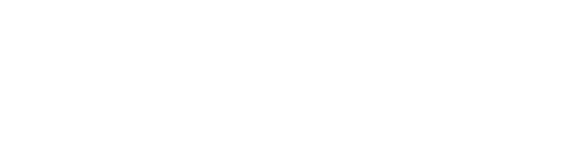 Raul Barrozo da Motta Junior